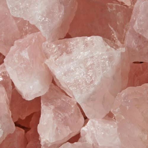Crystal Meth Rose ”Pinkman”