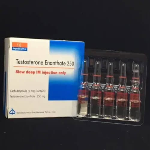 Testostorone 250mg