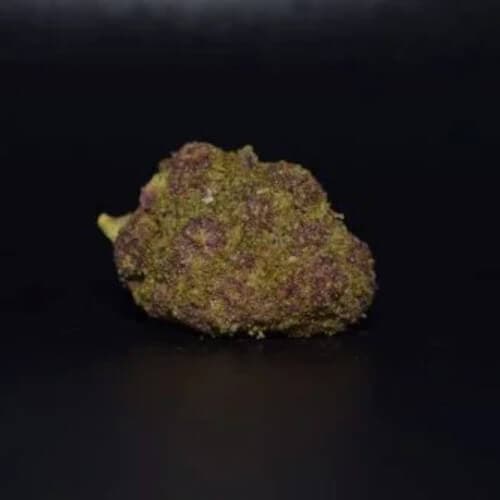 Purple Haze Canabis